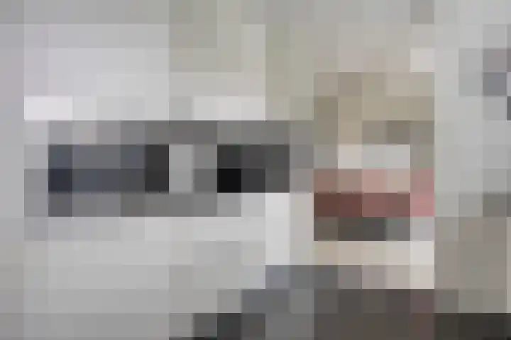 Sweelinck 76 Boxmeer thumbnail 13
