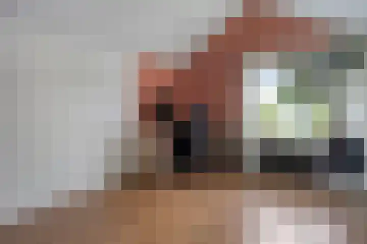 Sweelinck 76 Boxmeer thumbnail 16