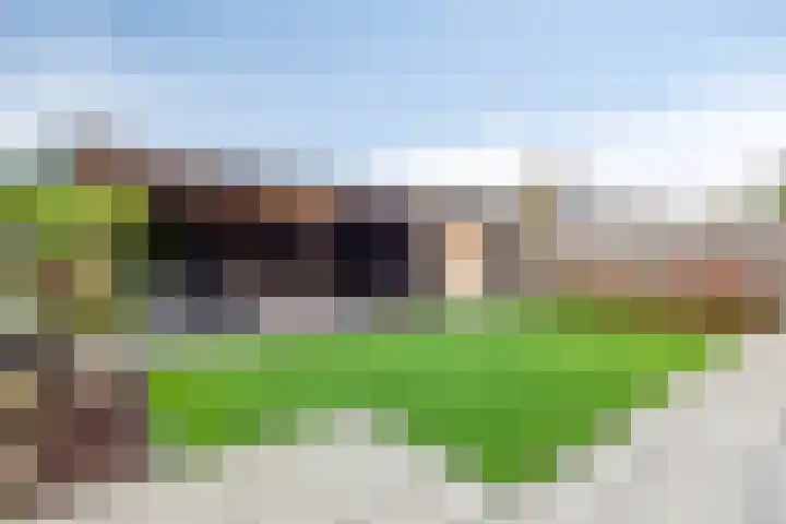 Sweelinck 76 Boxmeer thumbnail 20