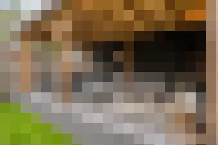 Sweelinck 76 Boxmeer thumbnail 22