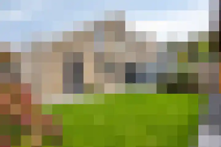 Sweelinck 76 Boxmeer thumbnail 24