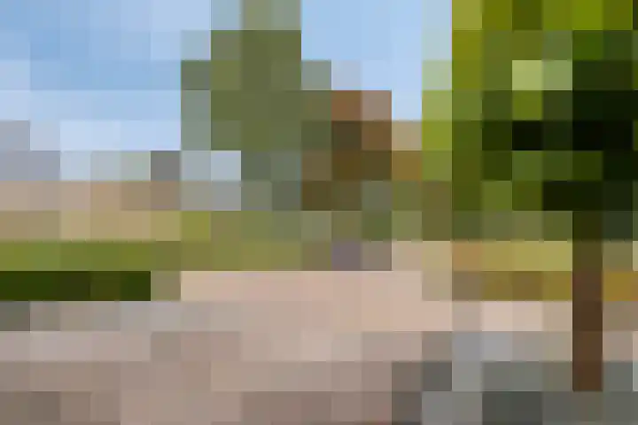 Sweelinck 76 Boxmeer thumbnail 26