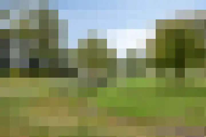 Sweelinck 76 Boxmeer thumbnail 27