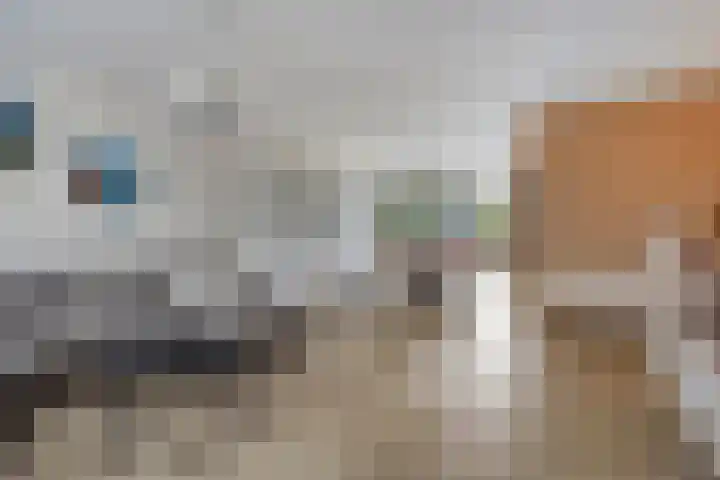 Sweelinck 76 Boxmeer thumbnail 6