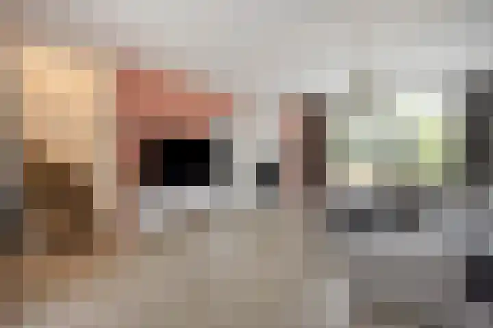 Sweelinck 76 Boxmeer thumbnail 8