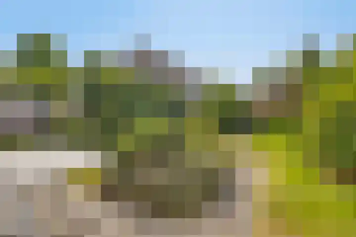 Sweelinck 87 Boxmeer thumbnail 28