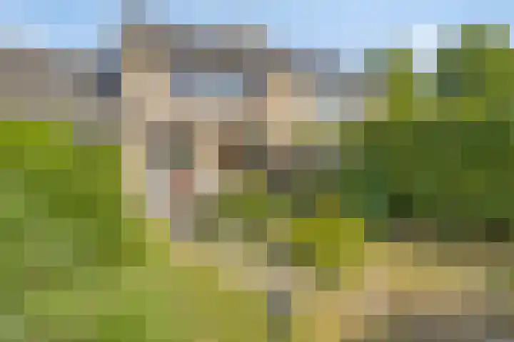 Sweelinck 87 Boxmeer thumbnail 29