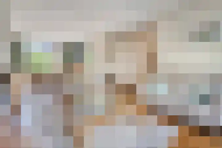 Sweelinck 87 Boxmeer thumbnail 7