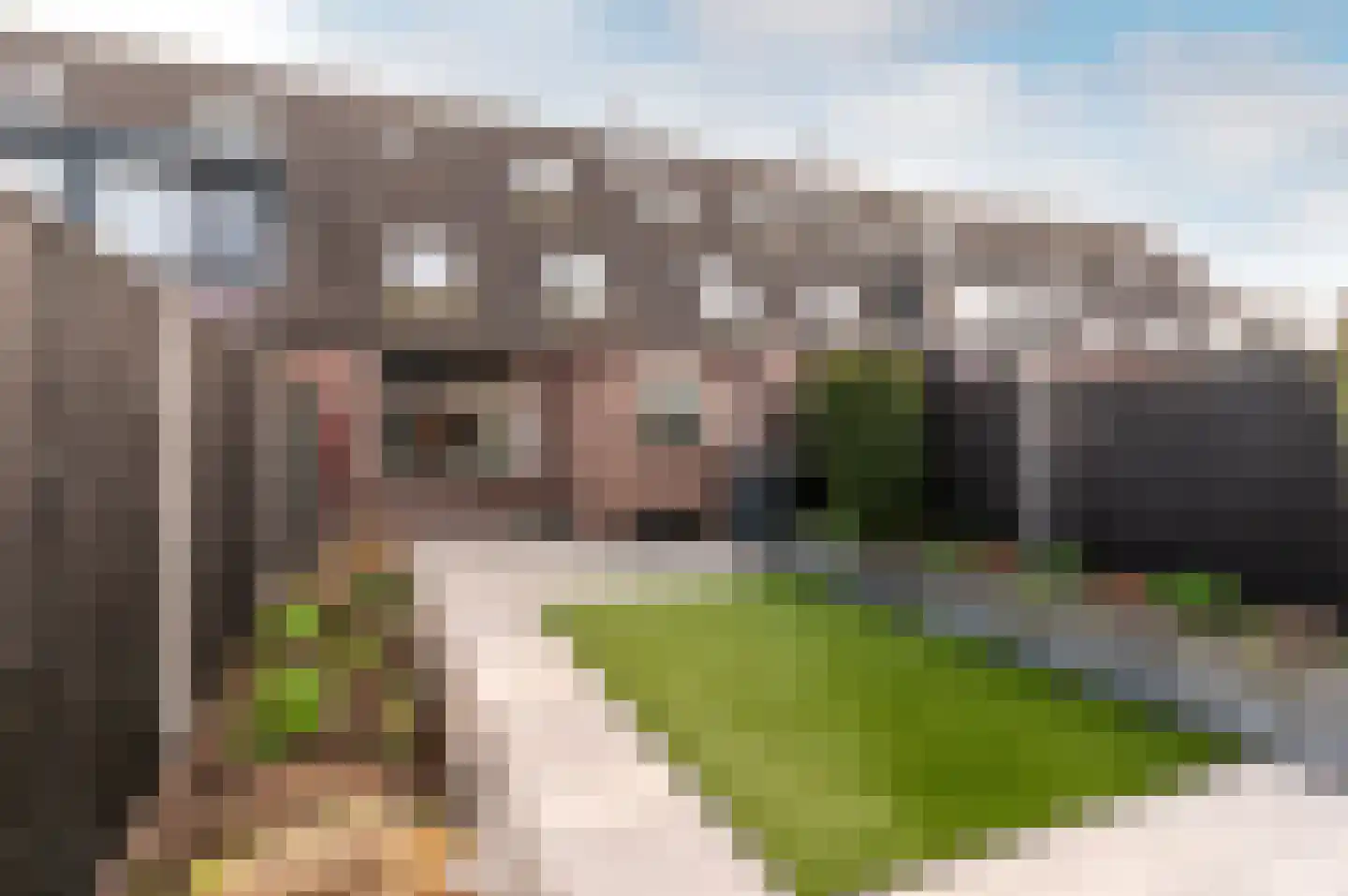 Sweelinckdreef 14 Harderwijk thumbnail 27