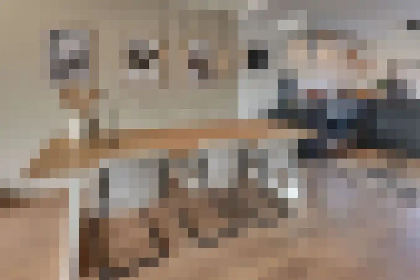 Sweelinckdreef 31 Harderwijk thumbnail 16