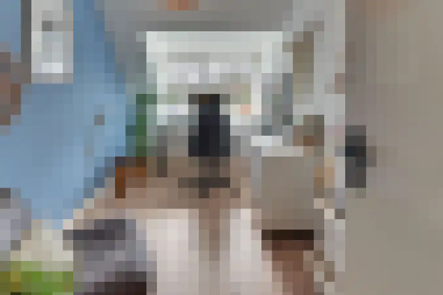 Sweelinckdreef 31 Harderwijk thumbnail 27
