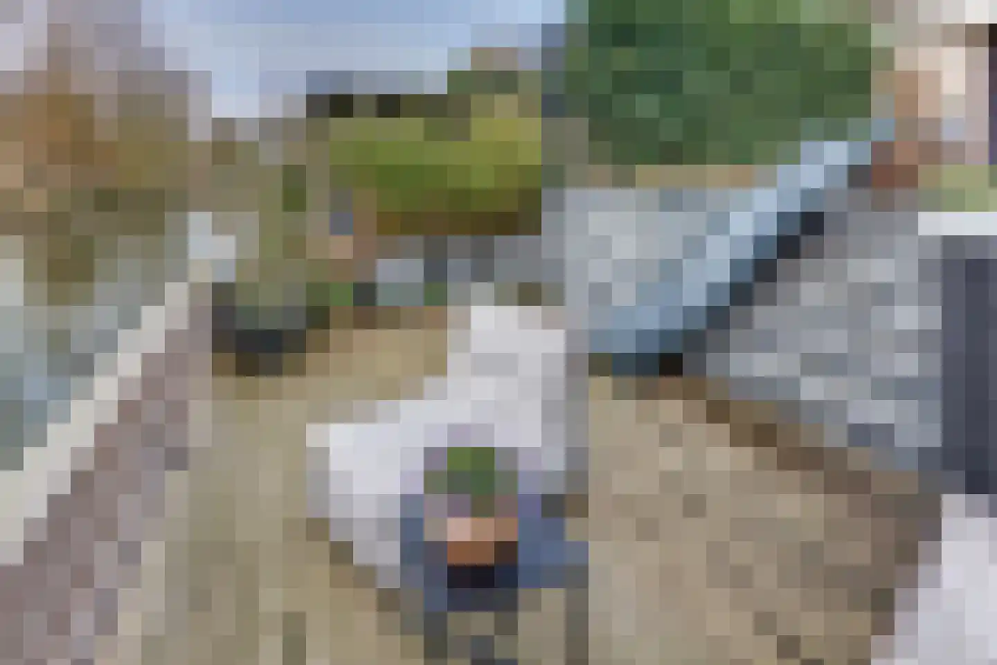 Sweelinckdreef 31 Harderwijk thumbnail 48