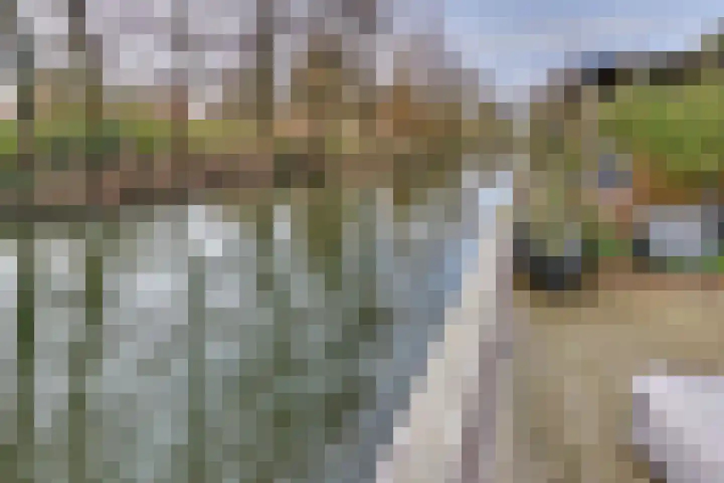 Sweelinckdreef 31 Harderwijk thumbnail 49