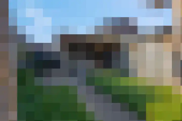 Sweelinckdreef 5 Veenendaal thumbnail 16