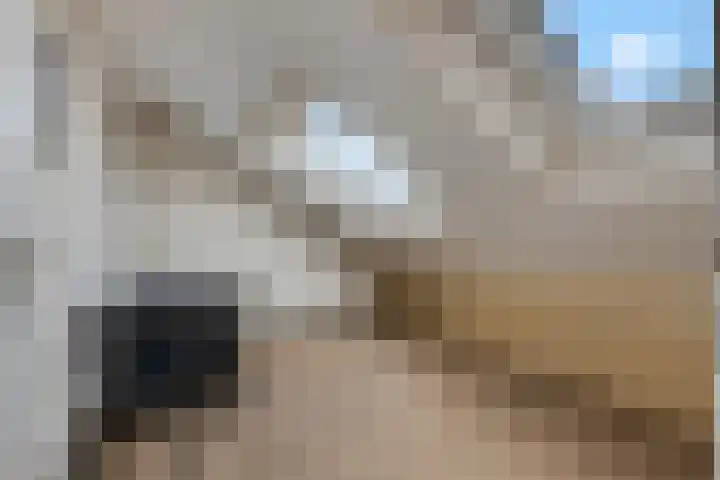 Sweelinckdreef 5 Veenendaal thumbnail 26