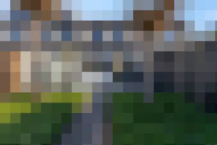 Sweelinckdreef 5 Veenendaal thumbnail 28