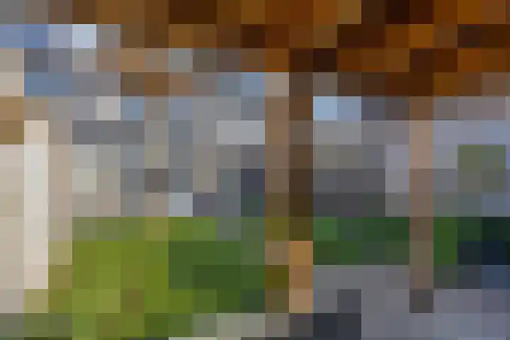 Sweelinckdreef 5 Veenendaal thumbnail 29