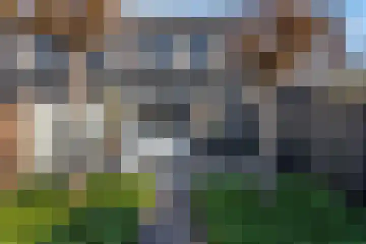 Sweelinckdreef 5 Veenendaal thumbnail 5