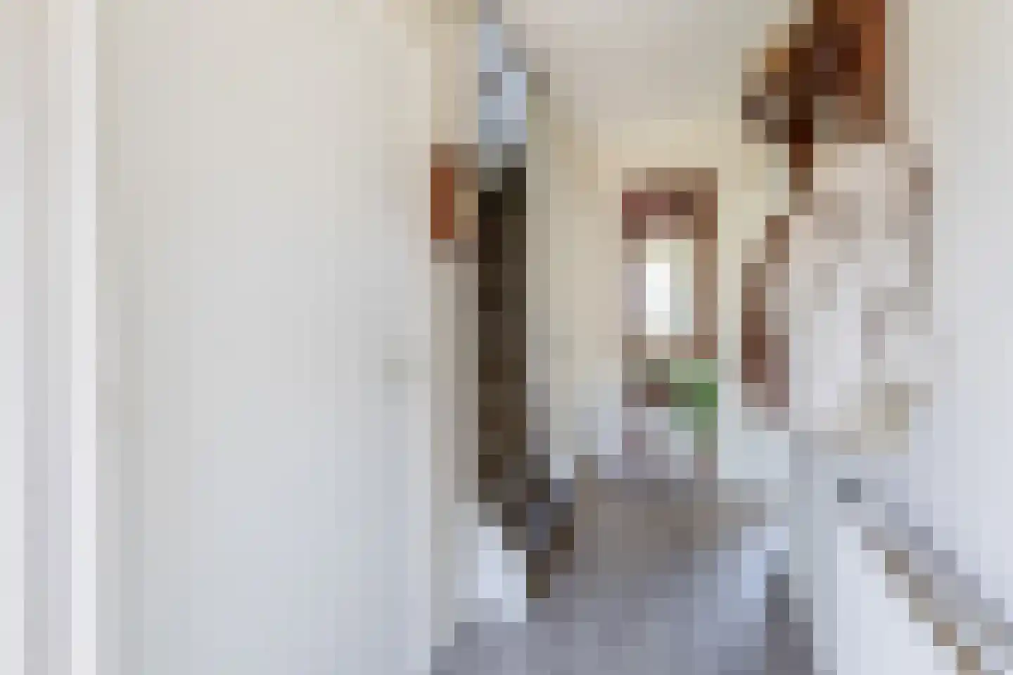 Sweelinckhof 23 Waddinxveen thumbnail 11