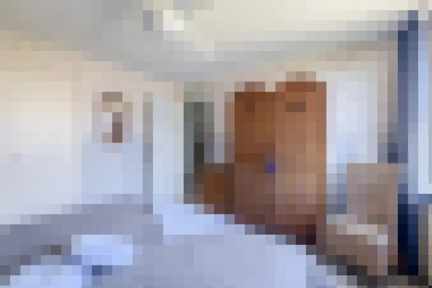 Sweelinckhof 23 Waddinxveen thumbnail 14
