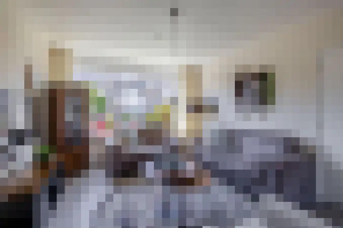 Sweelinckhof 23 Waddinxveen thumbnail 7