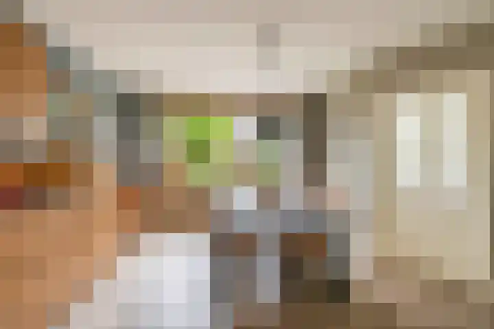 Sweelinckhof 27 Waddinxveen thumbnail 13