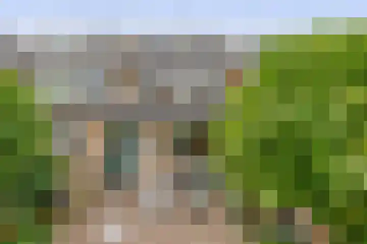 Sweelinckhof 27 Waddinxveen thumbnail 17