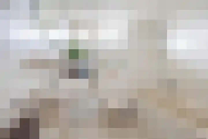 Sweelinckhof 27 Waddinxveen thumbnail 21