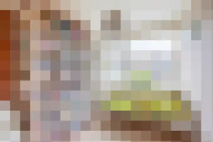 Sweelinckhof 27 Waddinxveen thumbnail 25