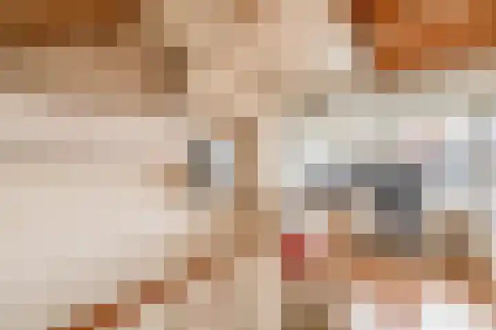 Sweelinckhof 27 Waddinxveen thumbnail 27