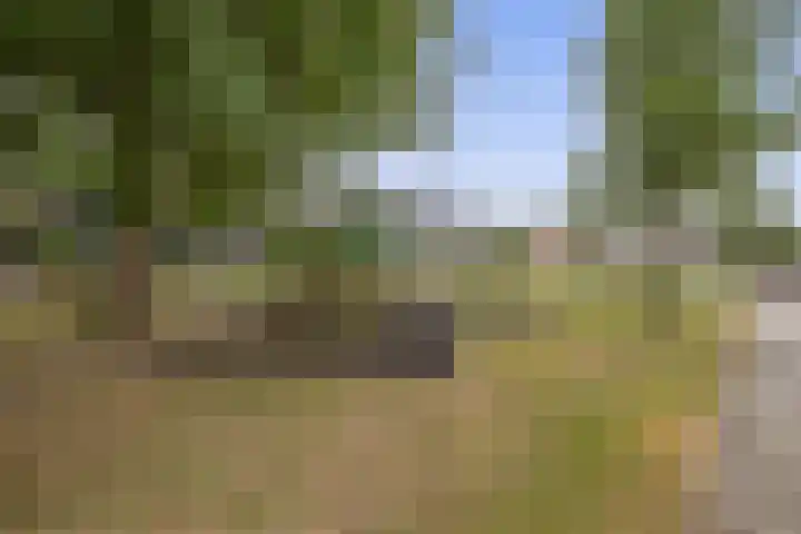 Sweelinckhof 27 Waddinxveen thumbnail 31