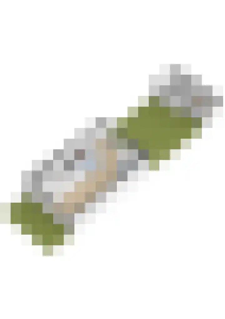 Sweelinckhof 27 Waddinxveen thumbnail 35