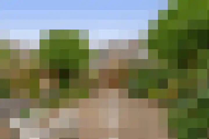 Sweelinckhof 27 Waddinxveen thumbnail 5