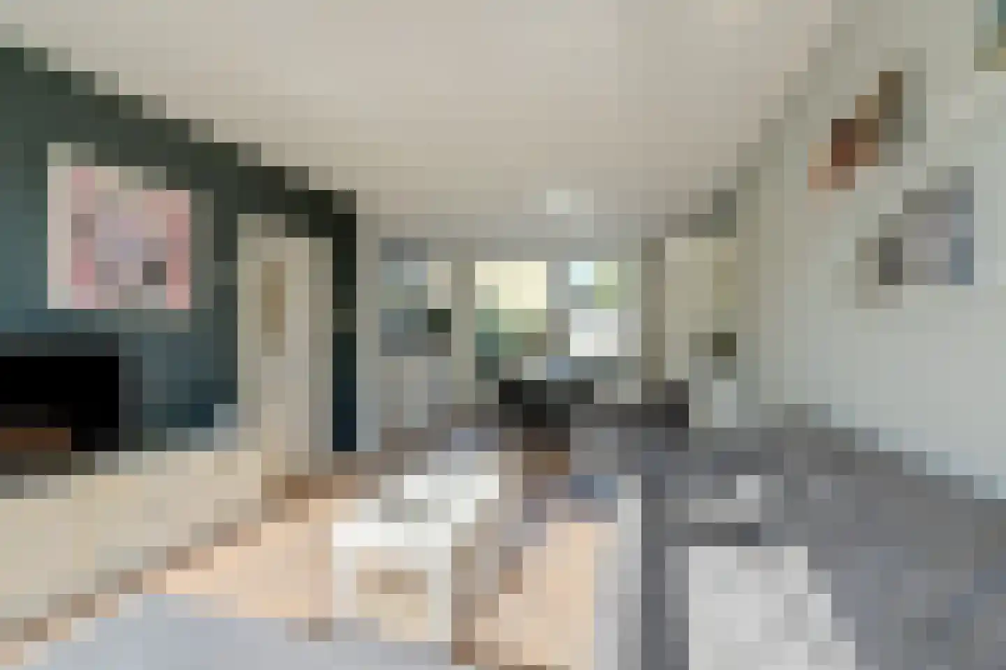 Sweelinckhof 36 Waddinxveen thumbnail 11