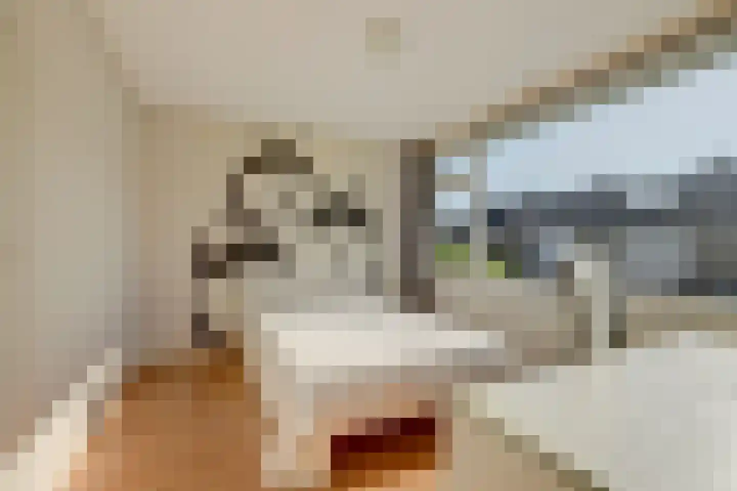 Sweelinckhof 36 Waddinxveen thumbnail 22