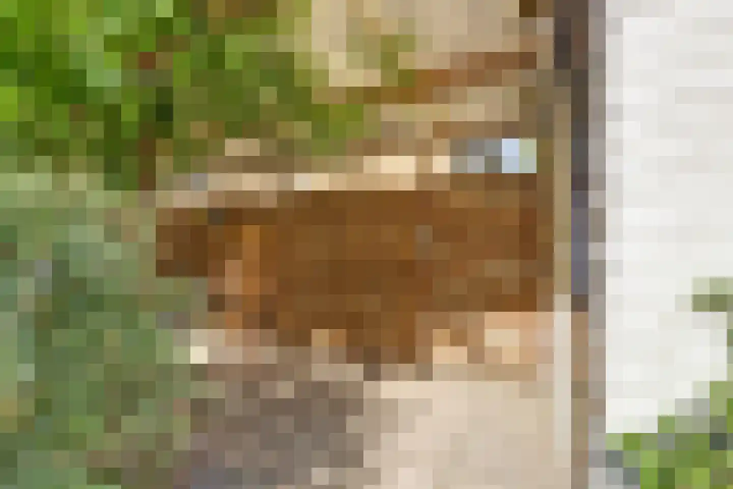 Sweelinckhof 36 Waddinxveen thumbnail 32