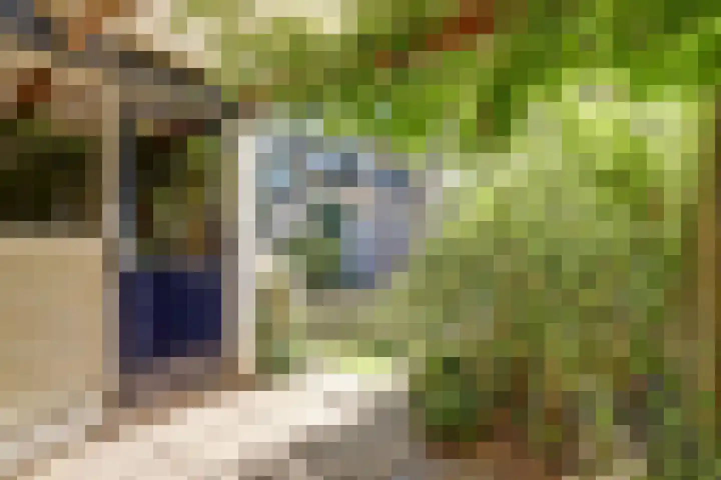 Sweelinckhof 36 Waddinxveen thumbnail 33