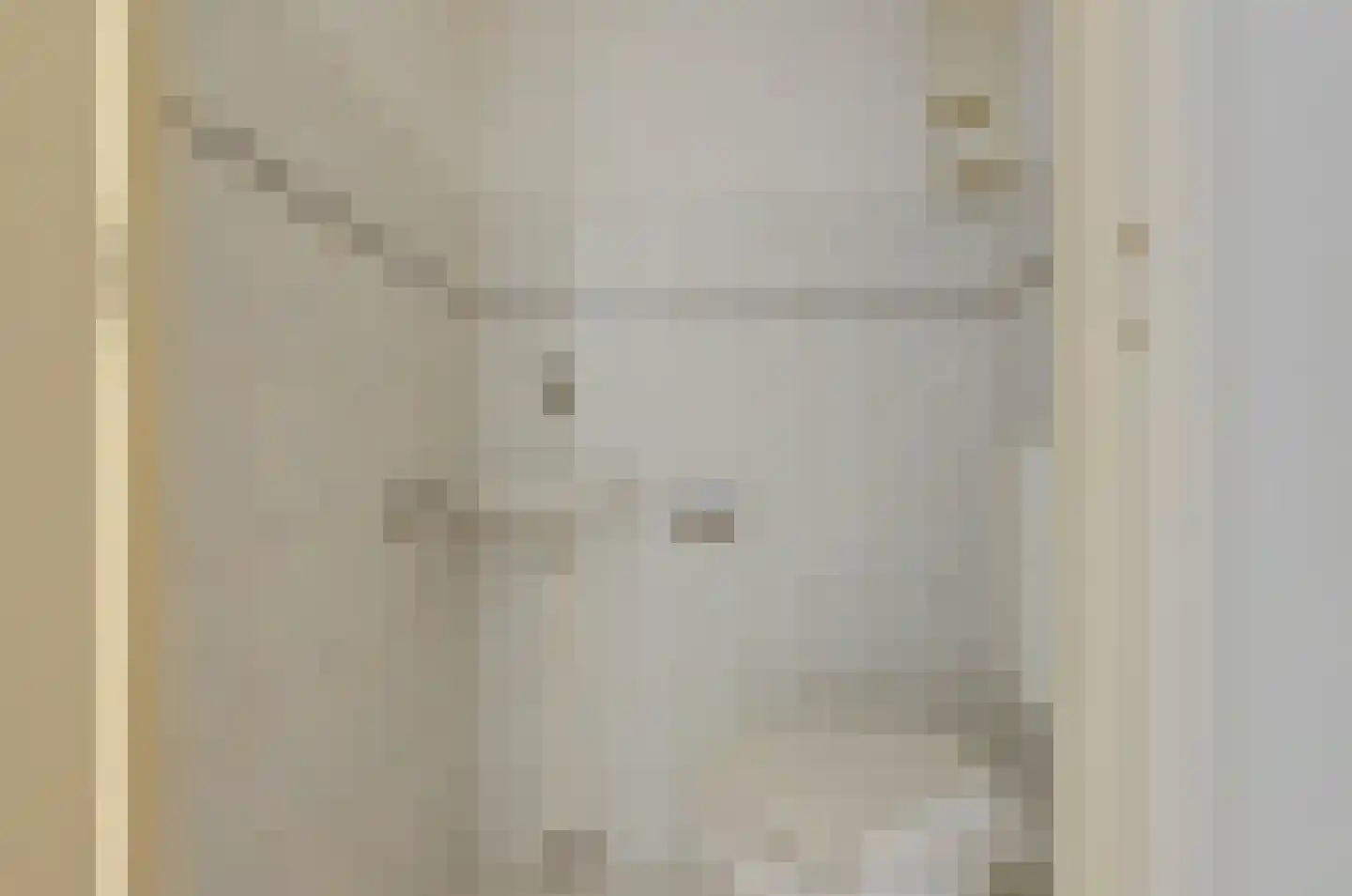 Sweelinckhof 36 Waddinxveen thumbnail 8