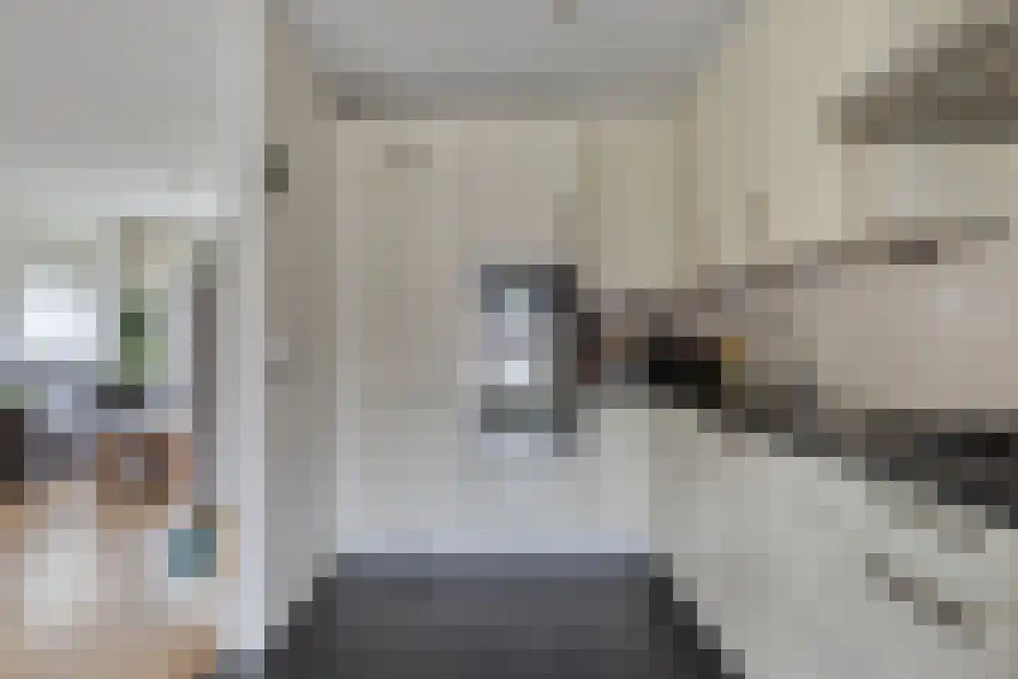 Sweelinckhof 38 Terneuzen thumbnail 13