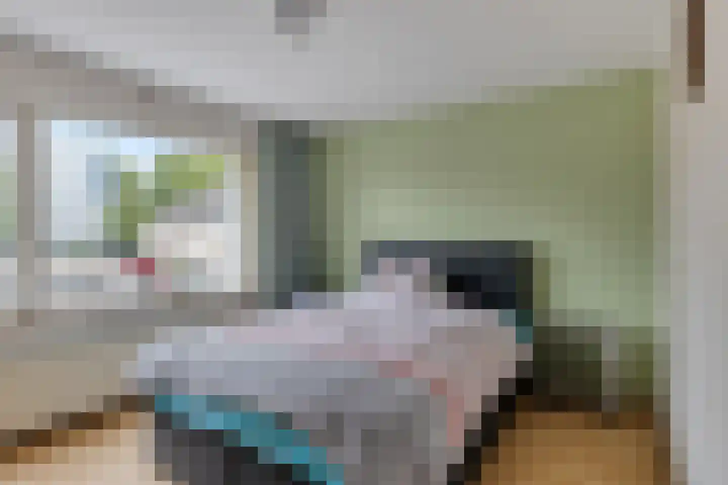 Sweelinckhof 38 Terneuzen thumbnail 18