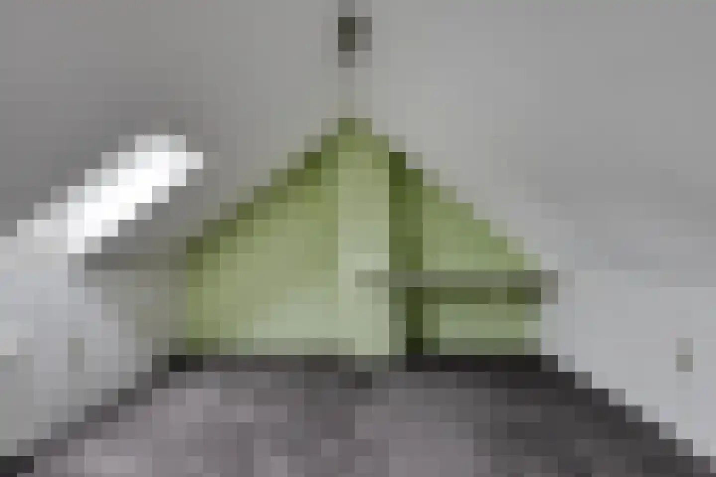 Sweelinckhof 38 Terneuzen thumbnail 27