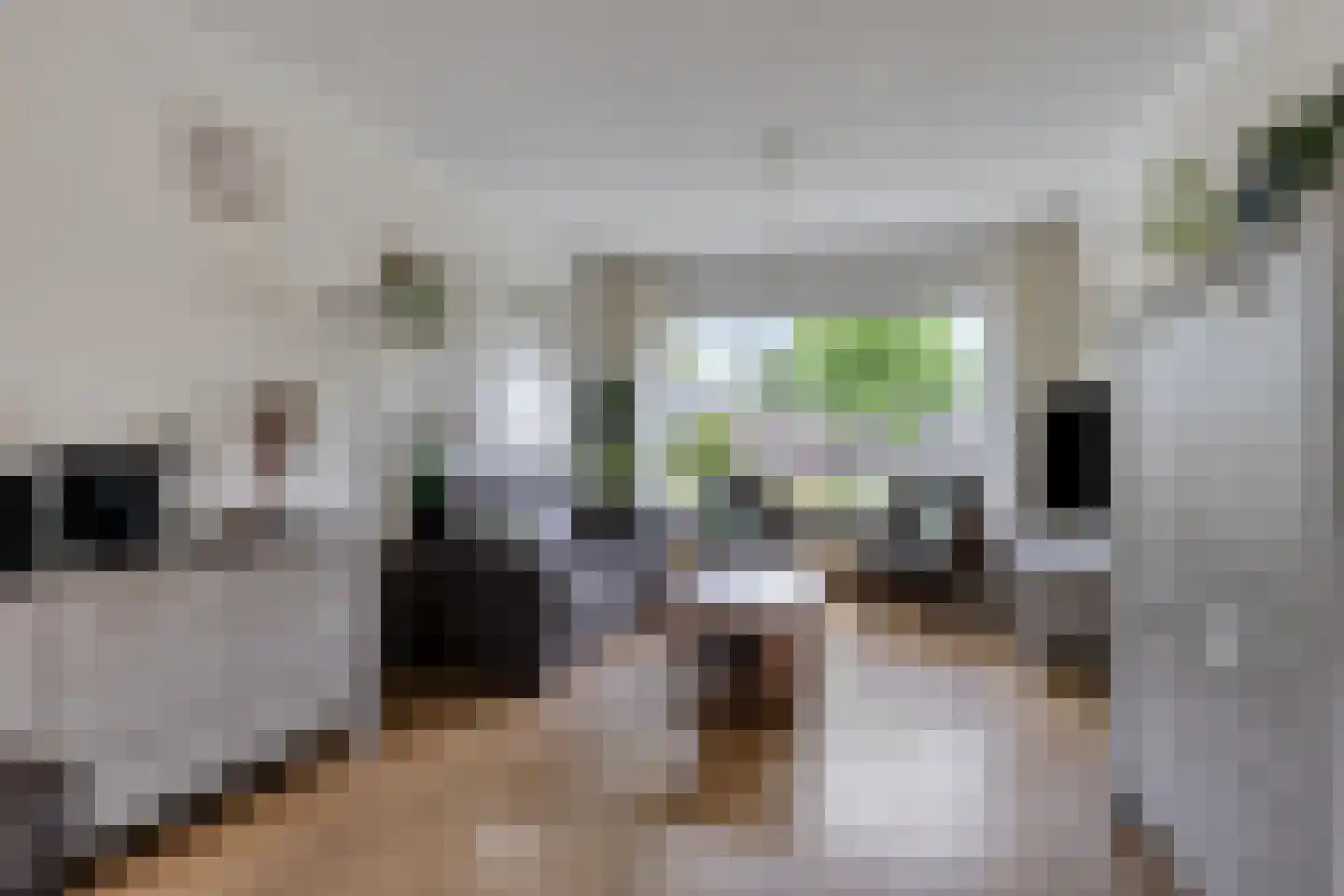 Sweelinckhof 38 Terneuzen thumbnail 7
