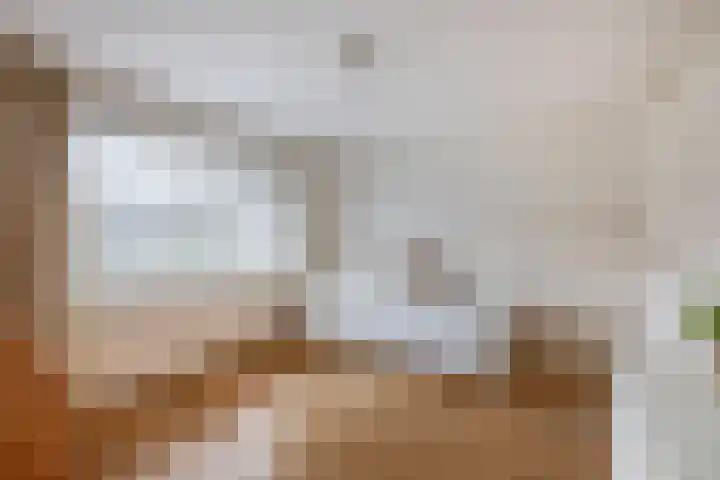 Sweelinckhof 53 Waddinxveen thumbnail 19