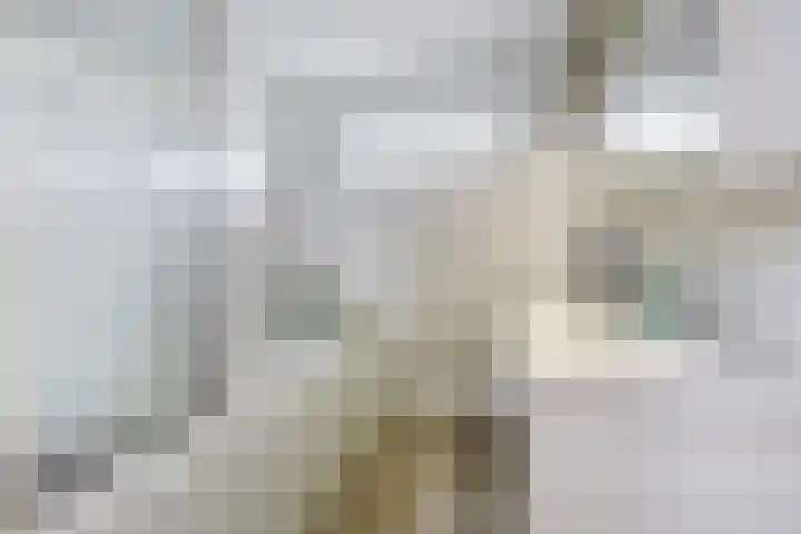 Sweelinckhof 53 Waddinxveen thumbnail 20