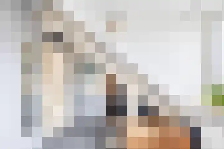 Sweelinckhof 53 Waddinxveen thumbnail 24