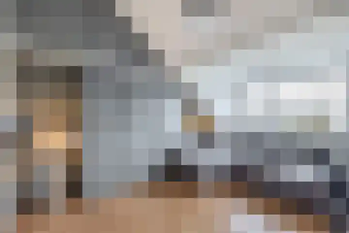 Sweelinckhof 53 Waddinxveen thumbnail 25