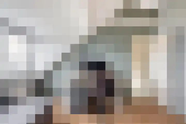 Sweelinckhof 53 Waddinxveen thumbnail 26