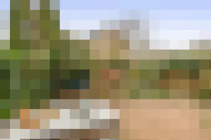Sweelinckhof 53 Waddinxveen thumbnail 27