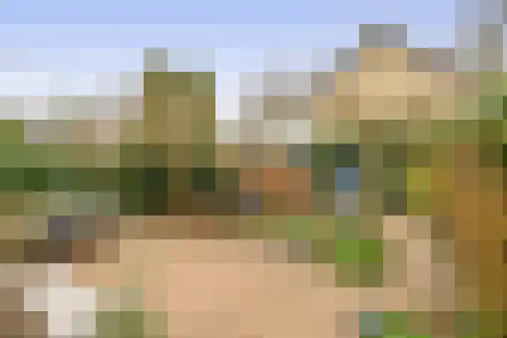 Sweelinckhof 53 Waddinxveen thumbnail 28