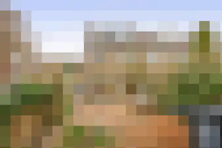 Sweelinckhof 53 Waddinxveen thumbnail 29